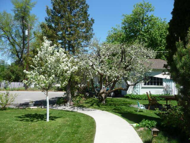 Blossom'S Bed And Breakfast Missoula Buitenkant foto